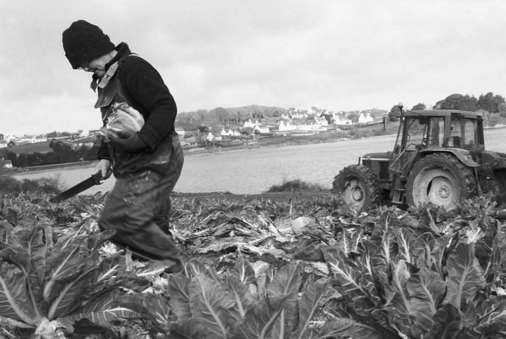 La grève et le chou. Exposition sonore et photo itinérante