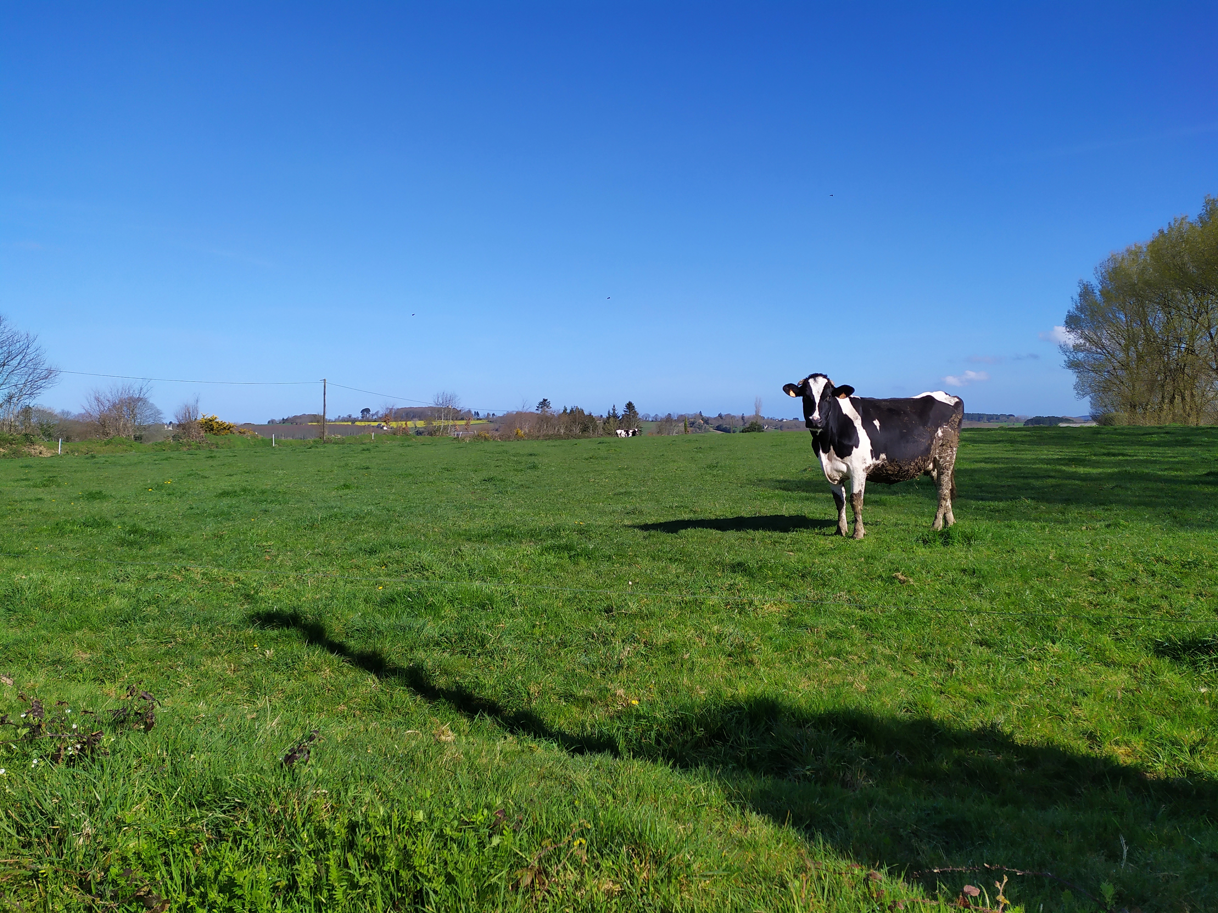 Une enquête ethnographique sur la Lieue de Grève (mars-septembre 2019), par Damien Letessier